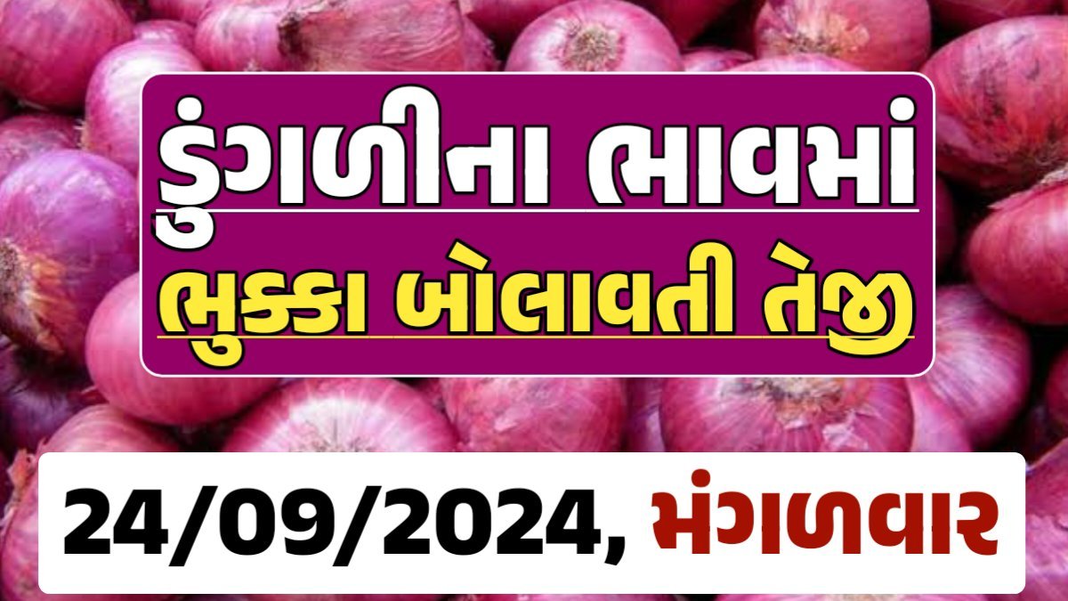 Onion Price 24-09-2024 લાલ અને સફેદ ડુંગળી ના બજાર ભાવ Gkmarugujarat.com