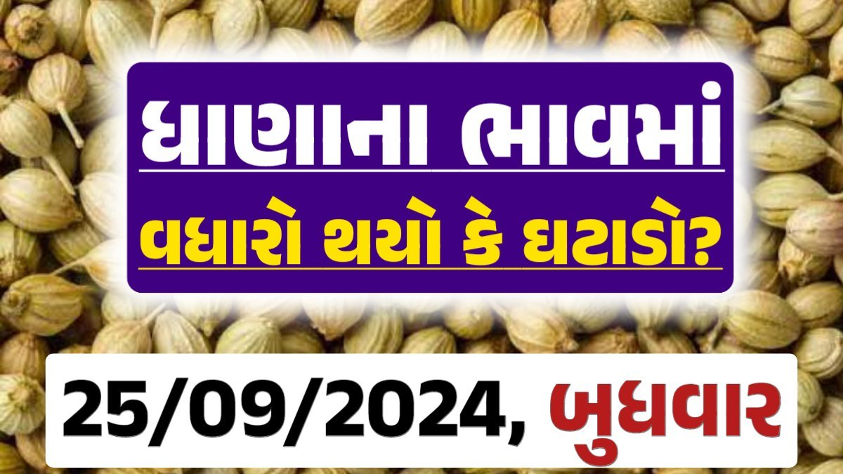 Dhana Price 25-09-2024 આજના ધાણા ના બજાર ભાવ gkmarugujarat.com