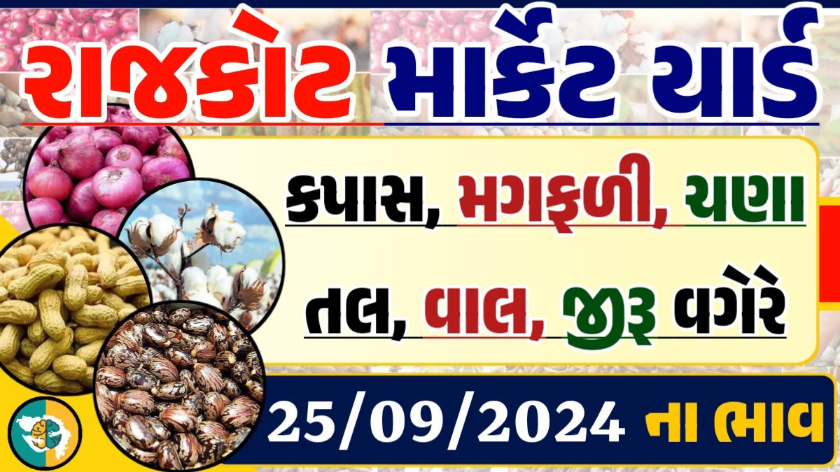 Rajkot Apmc Rate 25-09-2024 આજના રાજકોટ માર્કેટના બજાર ભાવ Gkmarugujarat.com