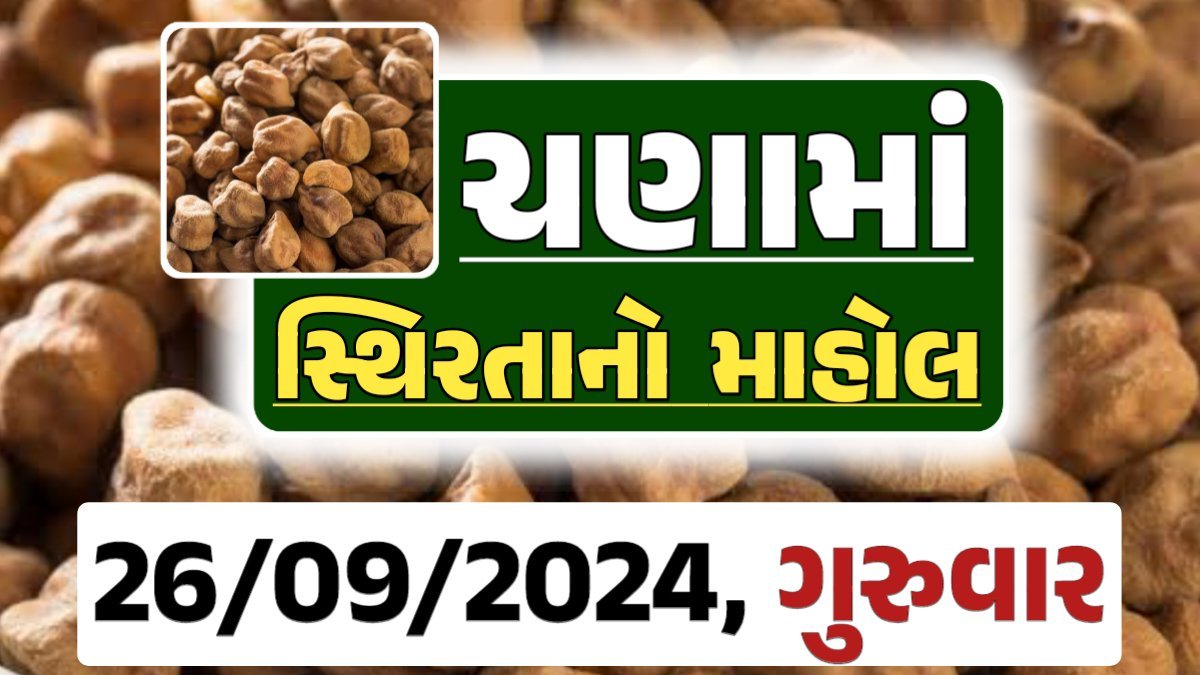 Chana Price 26-09-2024 આજના ચણા ના બજાર ભાવ gkmarugujarat.com