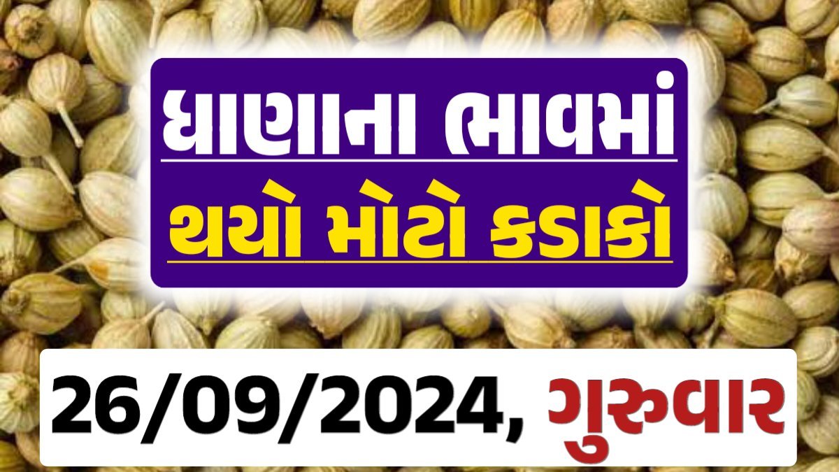 Dhana Price 26-09-2024 આજના ધાણા ના બજાર ભાવ gkmarugujarat.com