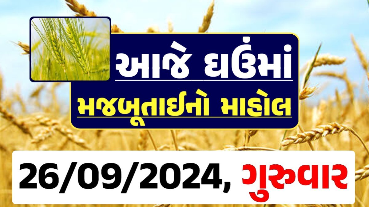Ghau Price 26-09-2024 આજના લોકવન અને ટુકડા ઘઉં ના બજાર ભાવ gkmarugujarat.com