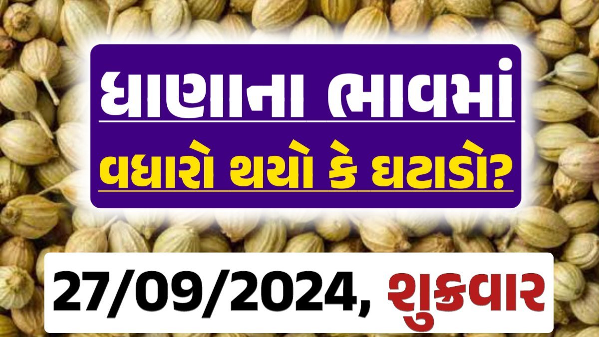 Dhana Price 27-09-2024 આજના ધાણા ના બજાર ભાવ gkmarugujarat.com