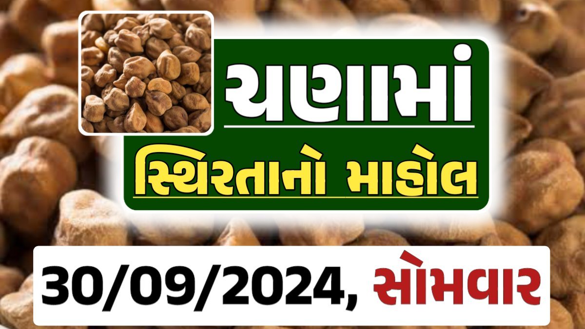 Chana Price 30-09-2024 આજના ચણા ના બજાર ભાવ gkmarugujarat.com