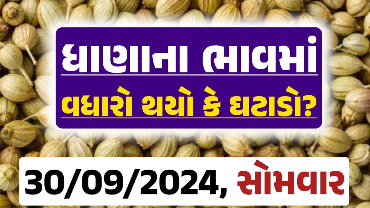 Dhana Price 30-09-2024 આજના ધાણા ના બજાર ભાવ gkmarugujarat.com
