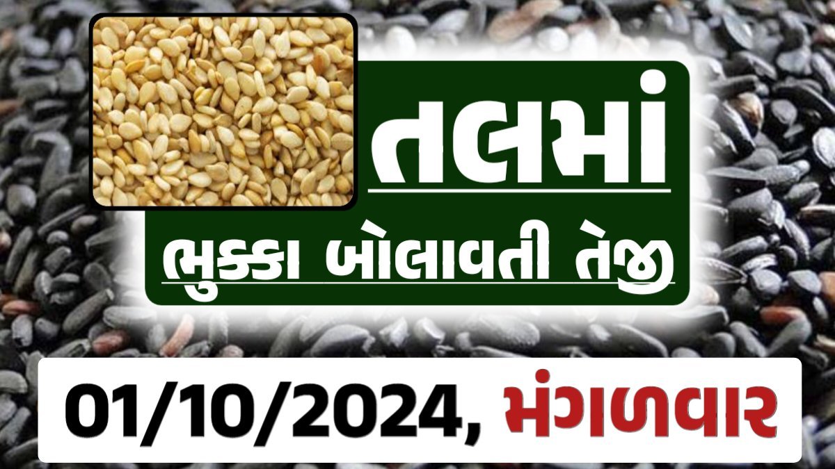 Tal price 01-10-2024 આજના સફેદ અને કાળા તલ ના બજાર ભાવ Gkmarugujarat.com