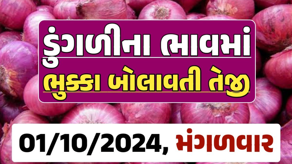 Onion Price 01-10-2024 લાલ અને સફેદ ડુંગળી ના બજાર ભાવ Gkmarugujarat.com
