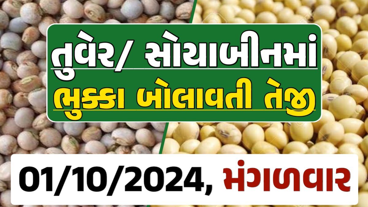 Turmeric And Soybeans Price 01-10-2024 તુવેર સોયાબીન ના બજાર ભાવ gkmarugujarat.com