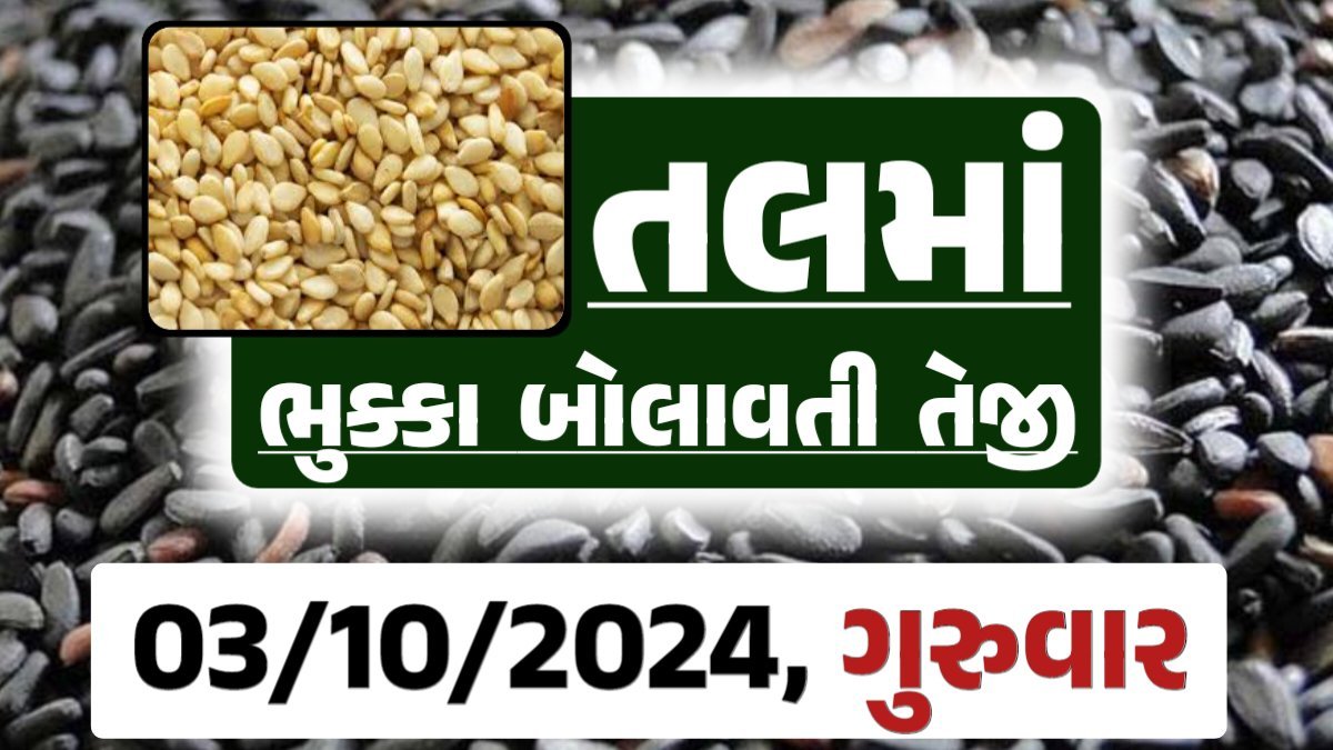 Tal price 03-10-2024 આજના સફેદ અને કાળા તલ ના બજાર ભાવ Gkmarugujarat.com