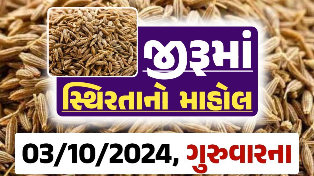 jiru Price 03-10-2024 આજના જીરૂ ના બજાર ભાવ gkmarugujarat.com