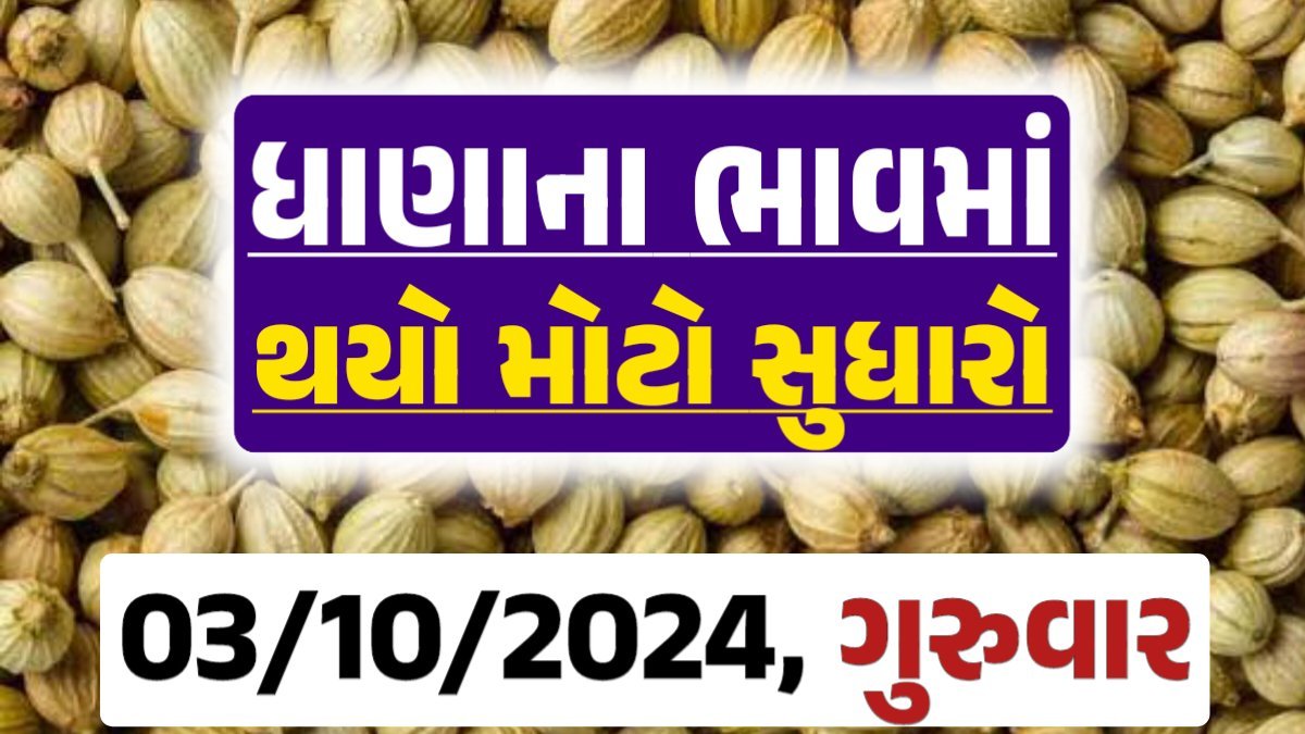 Dhana Price 03-10-2024 આજના ધાણા ના બજાર ભાવ gkmarugujarat.com