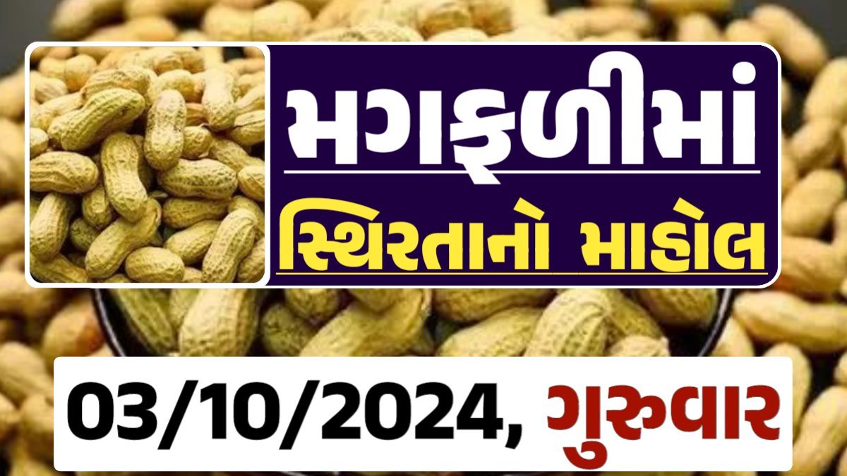 Magfali Price 03-10-2024 જાડી અને જીણી મગફળીના ભાવ Gkmarugujarat.com