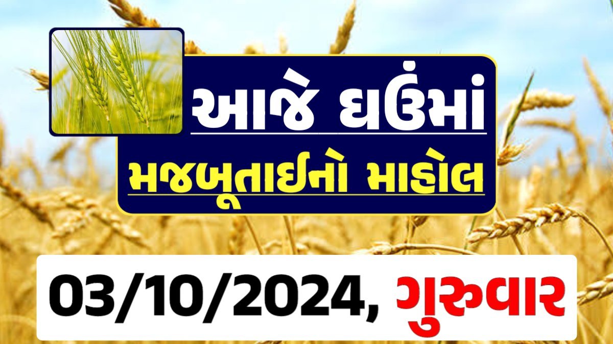 Ghau Price 03-10-2024 આજના લોકવન અને ટુકડા ઘઉં ના બજાર ભાવ gkmarugujarat.com