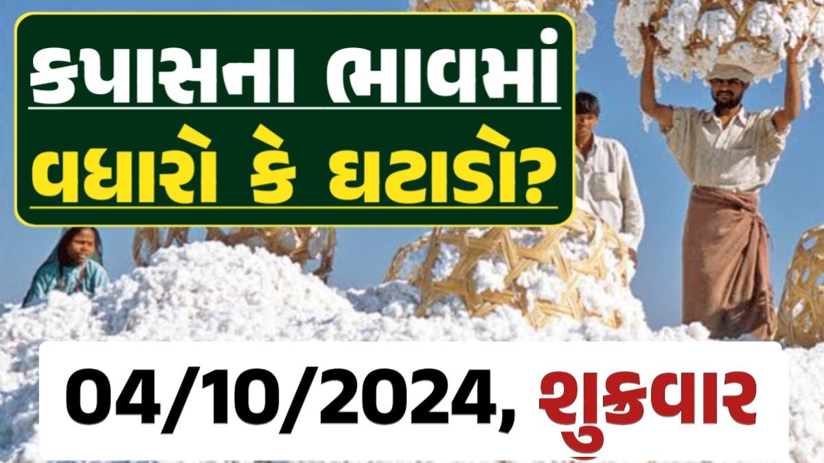 Cotton Price 04-10-2024 કપાસ બજાર ભાવ gkmarugujarat.com