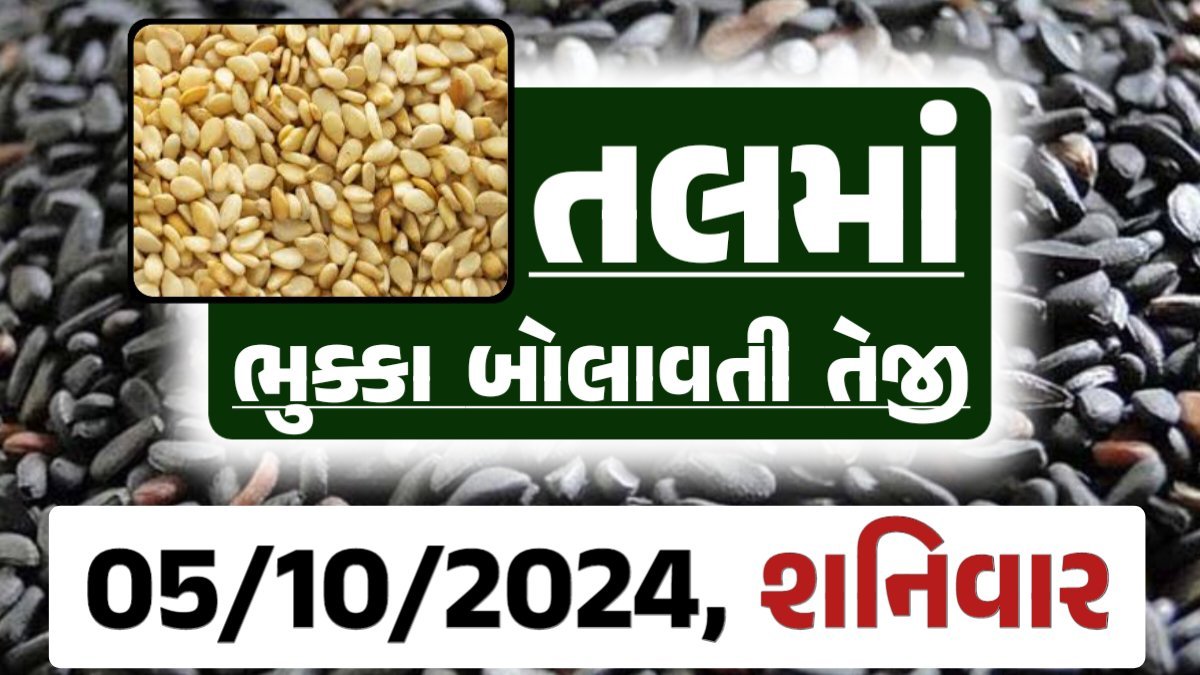 Tal price 05-10-2024 આજના સફેદ અને કાળા તલ ના બજાર ભાવ Gkmarugujarat.com