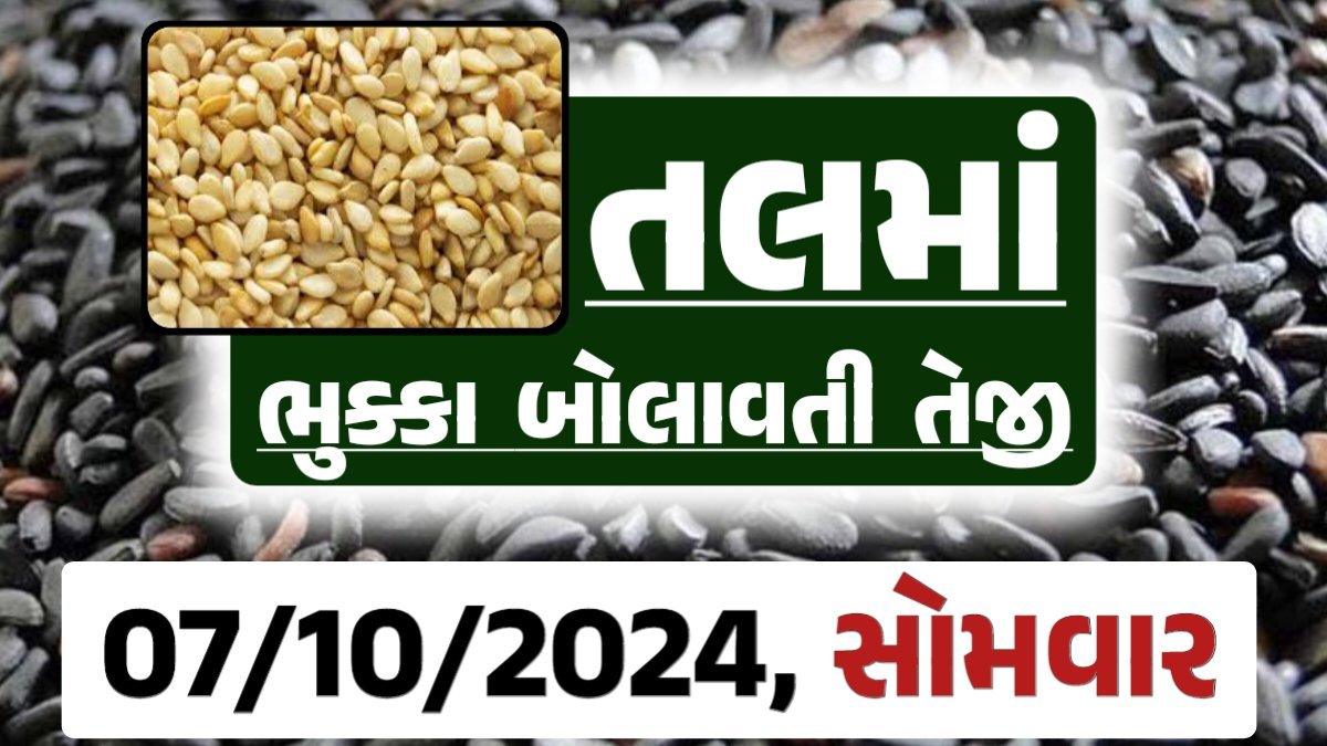 Tal price 07-10-2024 આજના સફેદ અને કાળા તલ ના બજાર ભાવ Gkmarugujarat.com
