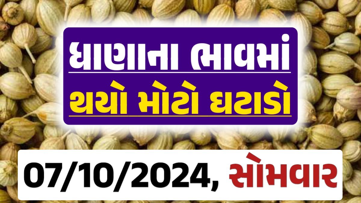 Dhana Price 07-10-2024 આજના ધાણા ના બજાર ભાવ gkmarugujarat.com