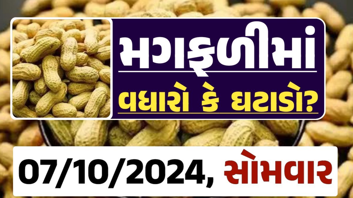 Magfali Price 07-10-2024 જાડી અને જીણી મગફળીના ભાવ Gkmarugujarat.com