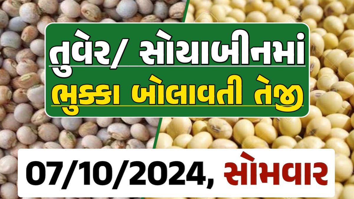 Turmeric And Soybeans Price 07-10-2024 તુવેર સોયાબીન ના બજાર ભાવ gkmarugujarat.com