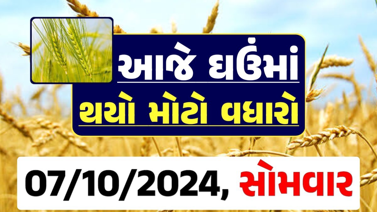 Ghau Price 07-10-2024 આજના લોકવન અને ટુકડા ઘઉં ના બજાર ભાવ gkmarugujarat.com