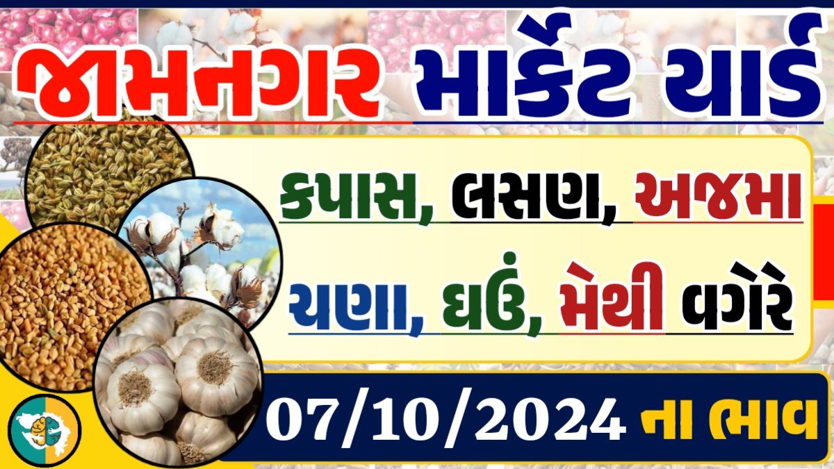 Jamnagar Apmc Rate 07-10-2024 આજના જામનગર ના બજાર ભાવ Gkmarugujarat.com