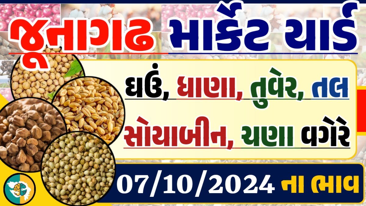 Junagadh Apmc Rate 07-10-2024 આજના જુનાગઢ ના બજાર ભાવ Gkmarugujarat.com
