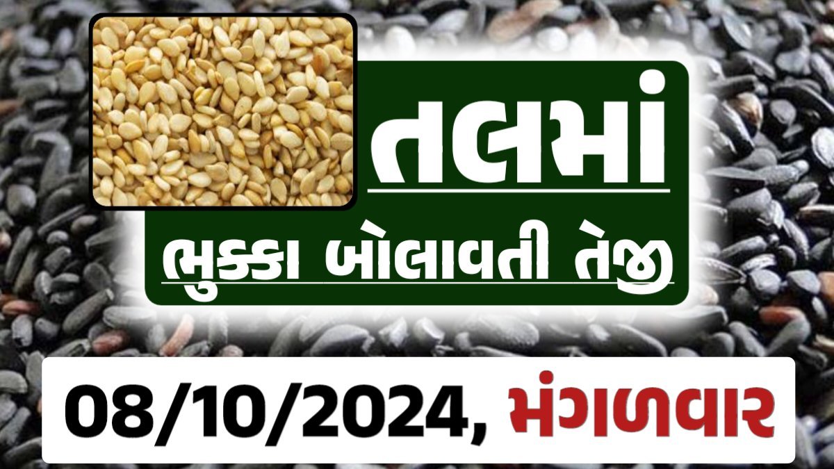 Tal price 08-10-2024 આજના સફેદ અને કાળા તલ ના બજાર ભાવ Gkmarugujarat.com