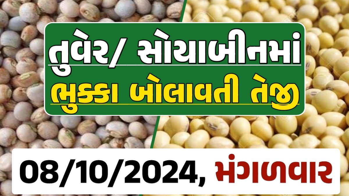 Turmeric And Soybeans Price 08-10-2024 તુવેર સોયાબીન ના બજાર ભાવ gkmarugujarat.com