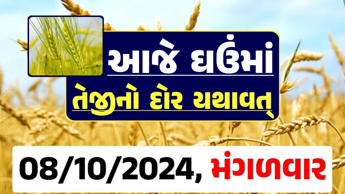 Ghau Price 08-10-2024 આજના લોકવન અને ટુકડા ઘઉં ના બજાર ભાવ gkmarugujarat.com