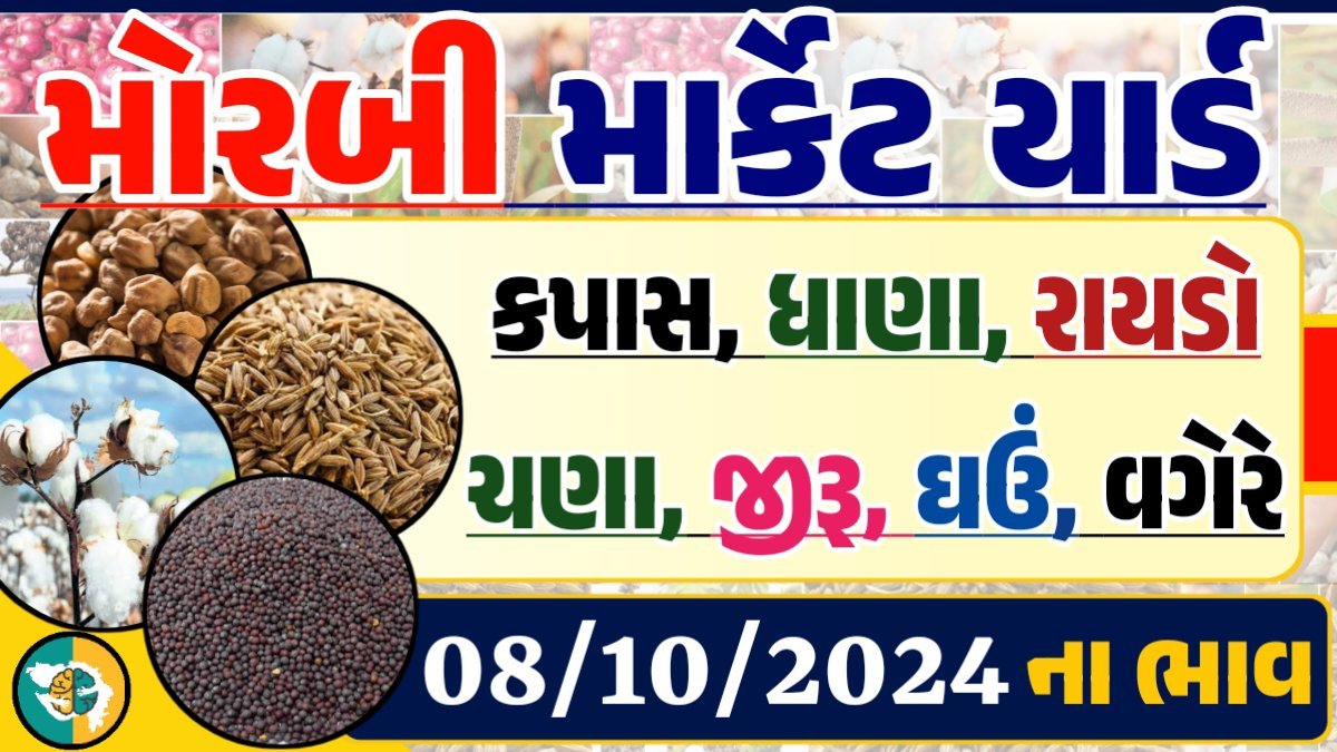 Morbi Apmc Rate 08-10-2024 આજના મોરબી માર્કેટના બજાર ભાવ Gkmarugujarat.com