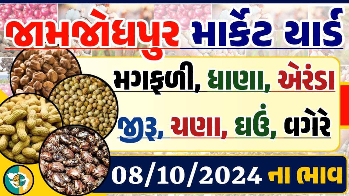 Jamjodhpur Apmc Rate 08-10-2024 આજના જામજોધપુર માર્કેટના બજાર ભાવ Gkmarugujarat.com