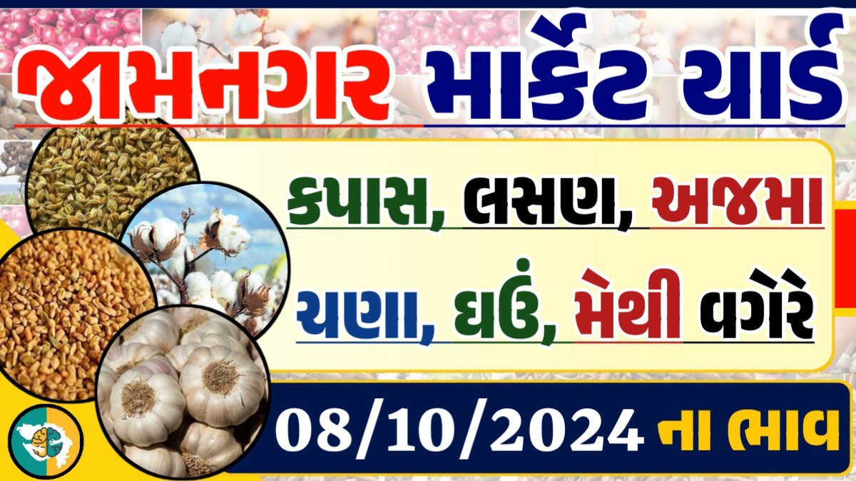 Jamnagar Apmc Rate 08-10-2024 આજના જામનગર ના બજાર ભાવ Gkmarugujarat.com