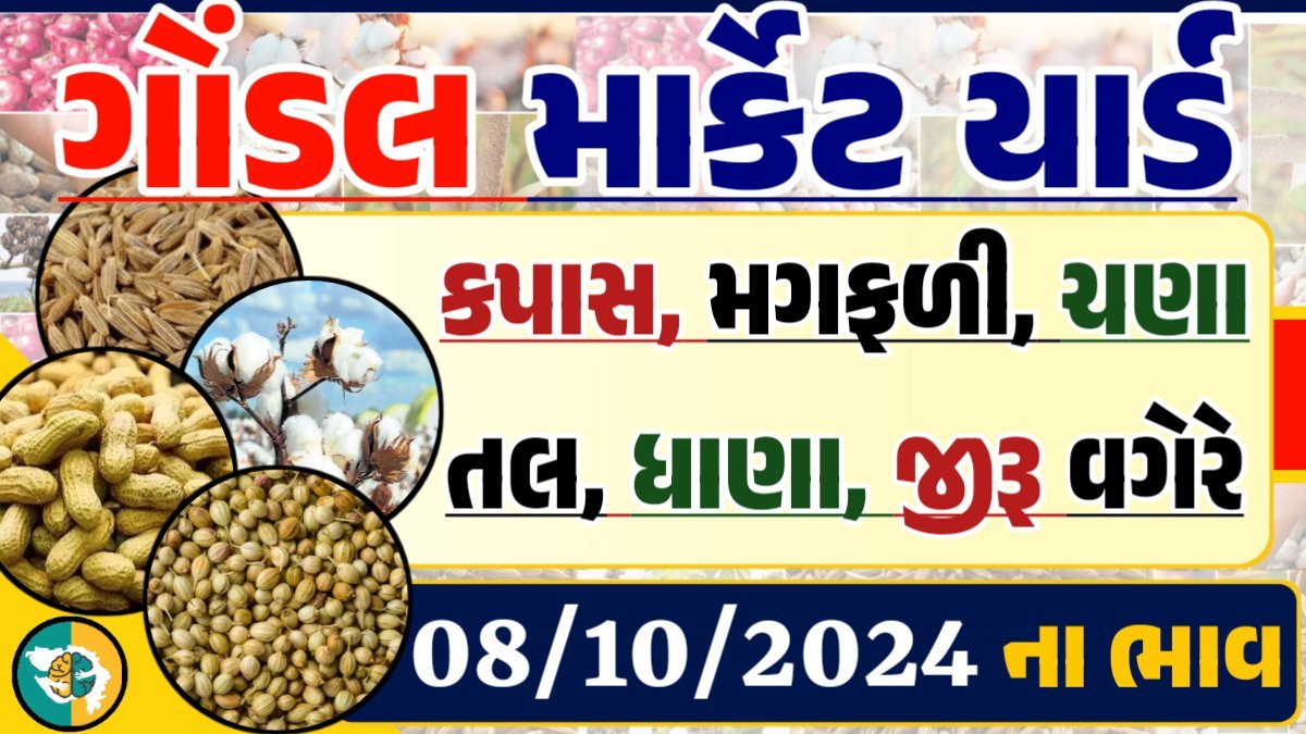 Gondal Apmc Rate 08-10-2024 આજના ગોંડલ માર્કેટ યાર્ડના બજાર ભાવ gkmarugujarat.com