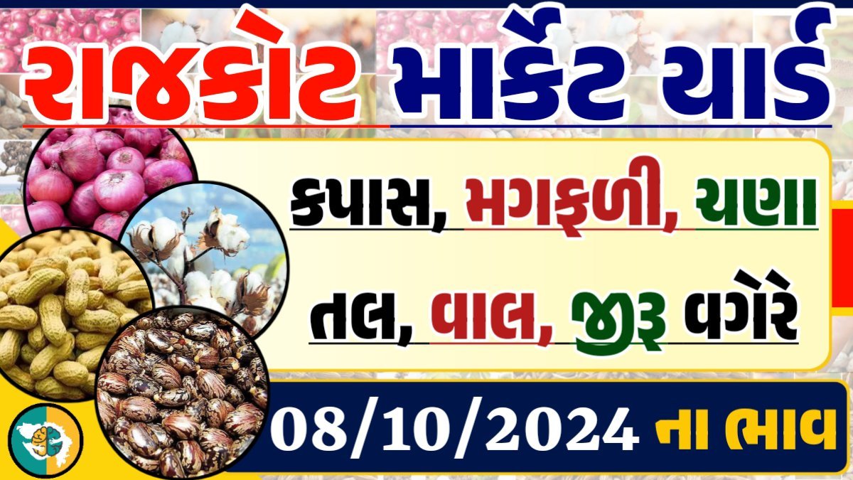 Rajkot Apmc Rate 08-10-2024 આજના રાજકોટ માર્કેટના બજાર ભાવ Gkmarugujarat.com
