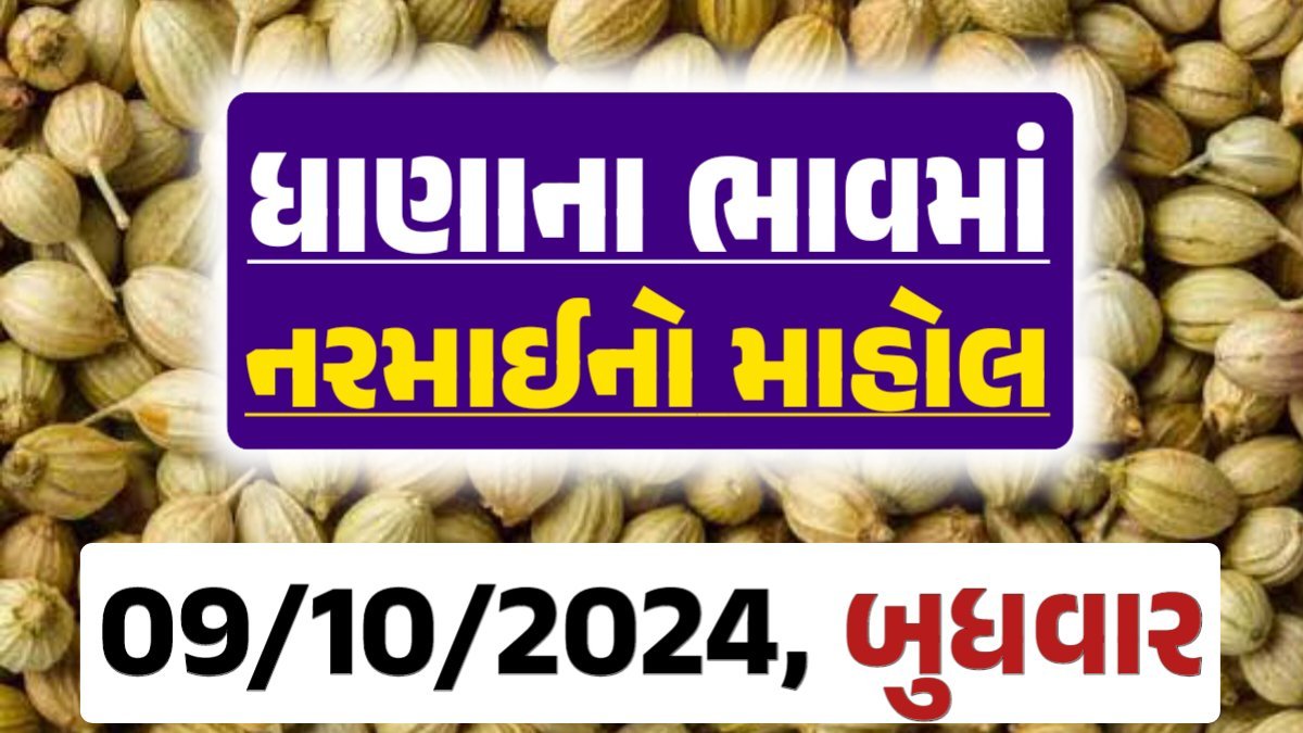Dhana Price 09-10-2024 આજના ધાણા ના બજાર ભાવ gkmarugujarat.com