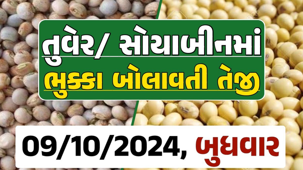 Turmeric And Soybeans Price 09-10-2024 તુવેર સોયાબીન ના બજાર ભાવ gkmarugujarat.com