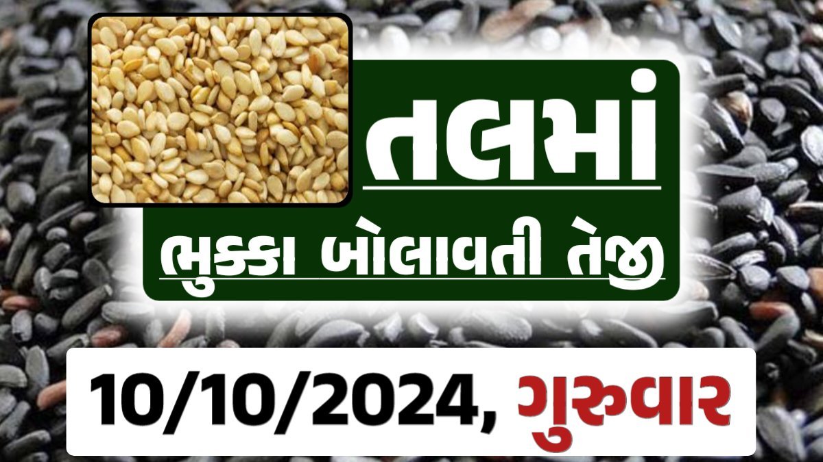Tal price 10-10-2024 આજના સફેદ અને કાળા તલ ના બજાર ભાવ Gkmarugujarat.com