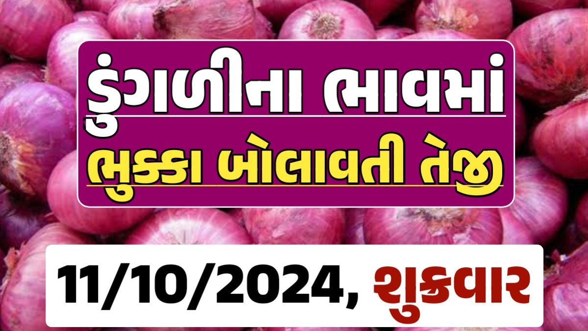 Onion Price 11-10-2024 લાલ અને સફેદ ડુંગળી ના બજાર ભાવ Gkmarugujarat.com