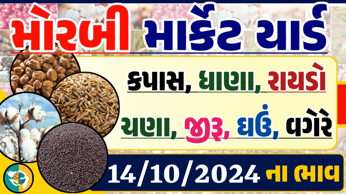 Morbi Apmc Rate 14-10-2024 આજના મોરબી માર્કેટના બજાર ભાવ Gkmarugujarat.com