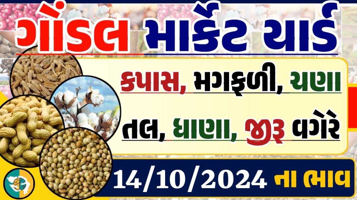 Gondal Apmc Rate 14-10-2024 આજના ગોંડલ માર્કેટ યાર્ડના બજાર ભાવ gkmarugujarat.com