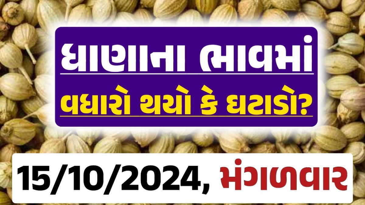 Dhana Price 15-10-2024 આજના ધાણા ના બજાર ભાવ gkmarugujarat.com