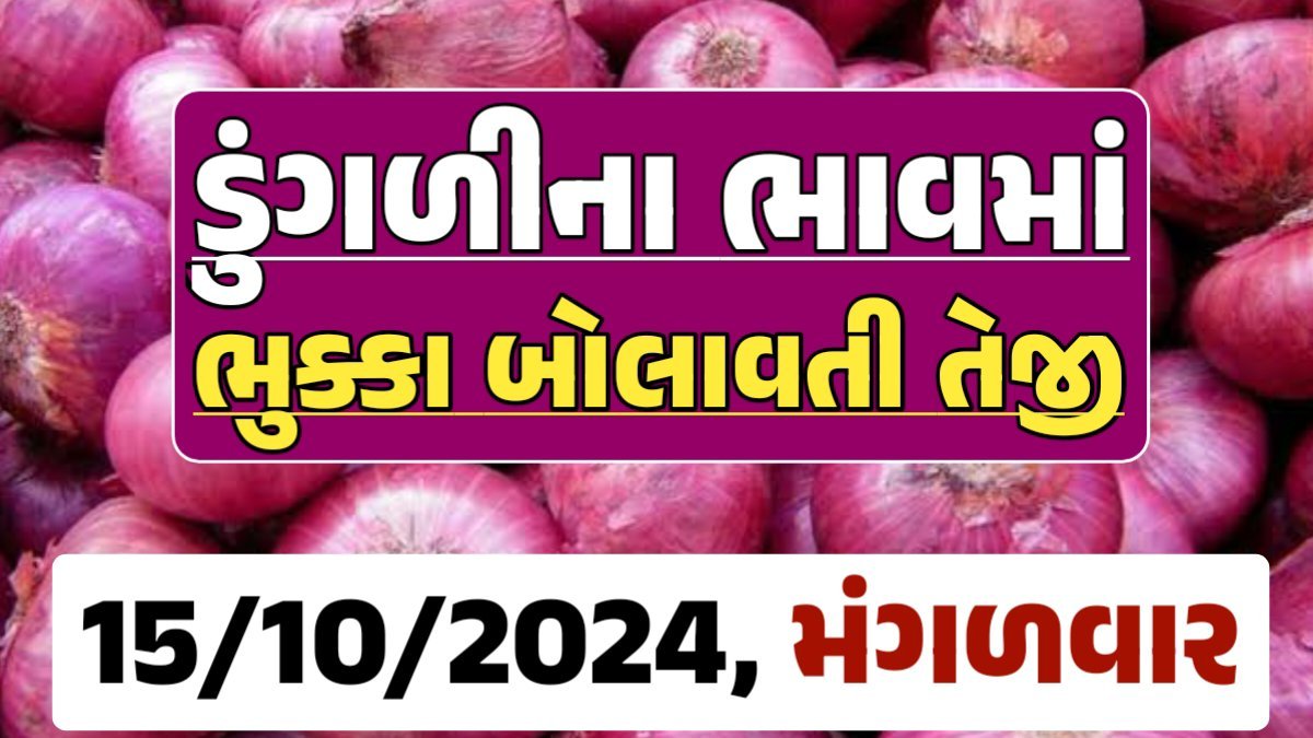 Onion Price 15-10-2024 લાલ અને સફેદ ડુંગળી ના બજાર ભાવ Gkmarugujarat.com