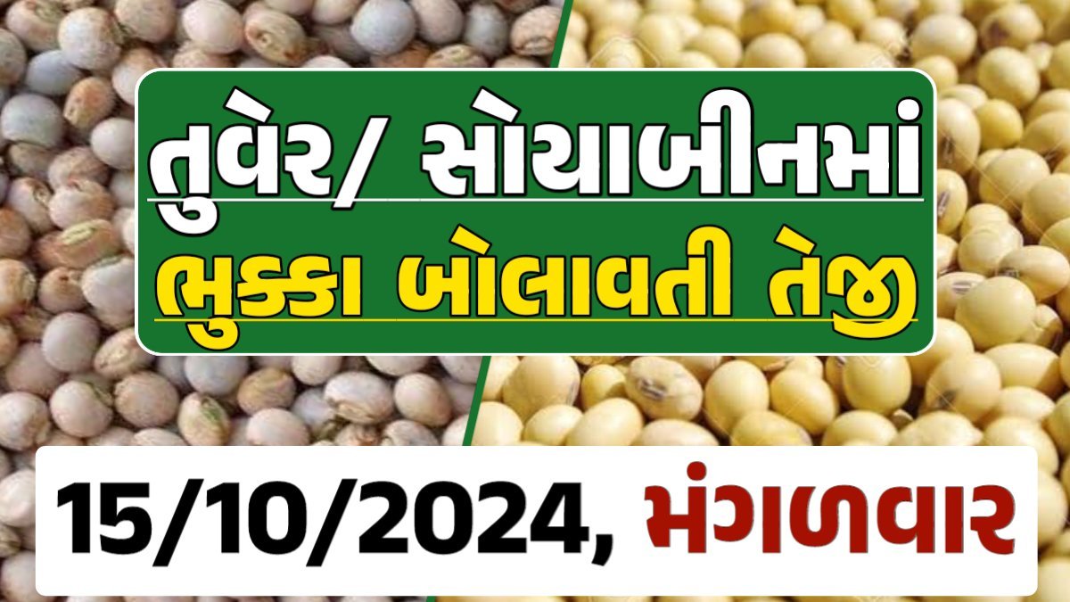 Turmeric And Soybeans Price 15-10-2024 તુવેર સોયાબીન ના બજાર ભાવ gkmarugujarat.com