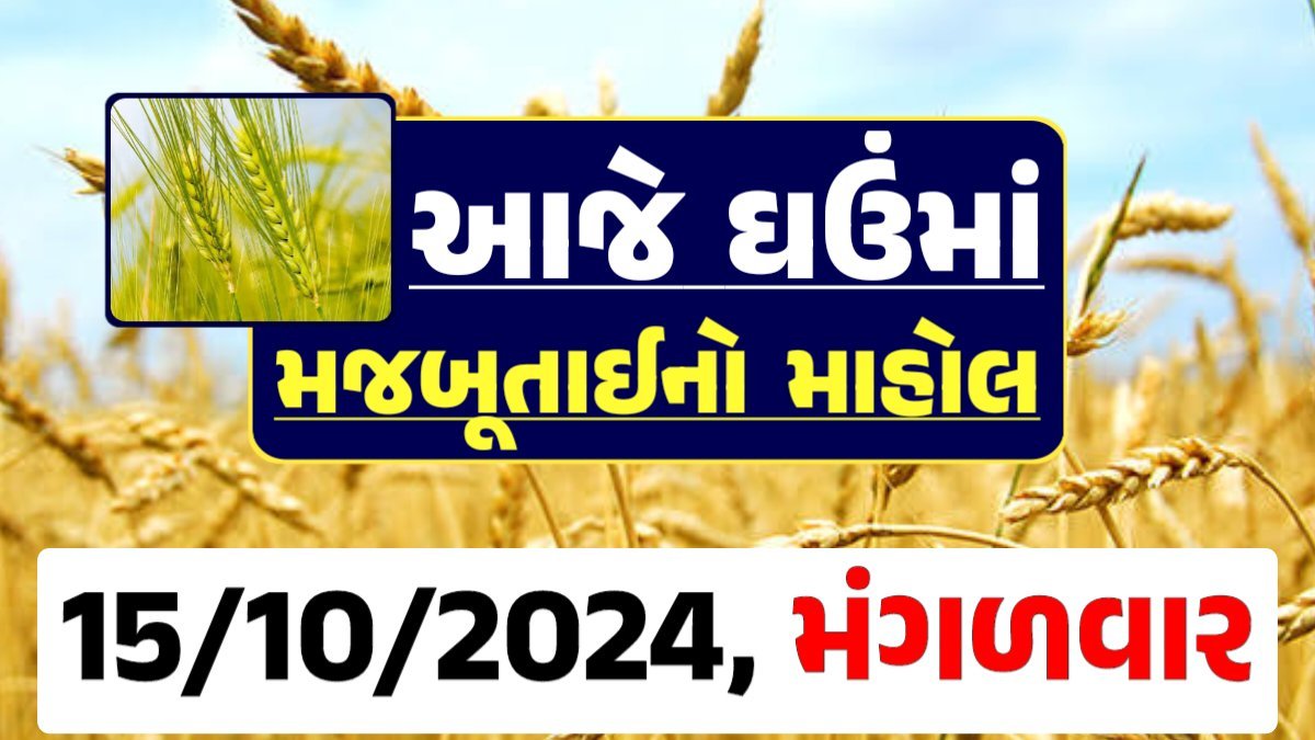 Ghau Price 15-10-2024 આજના લોકવન અને ટુકડા ઘઉં ના બજાર ભાવ gkmarugujarat.com