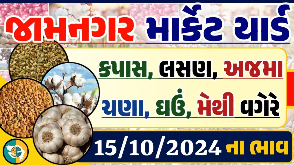 Jamnagar Apmc Rate 15-10-2024 આજના જામનગર ના બજાર ભાવ Gkmarugujarat.com