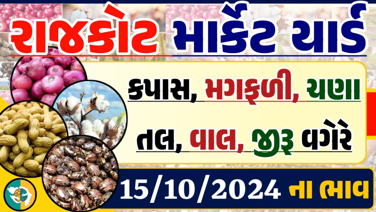Rajkot Apmc Rate 15-10-2024 આજના રાજકોટ માર્કેટના બજાર ભાવ Gkmarugujarat.com