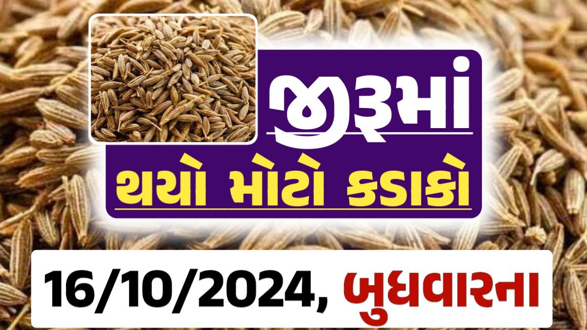 jiru Price 16-10-2024 આજના જીરૂ ના બજાર ભાવ gkmarugujarat.com