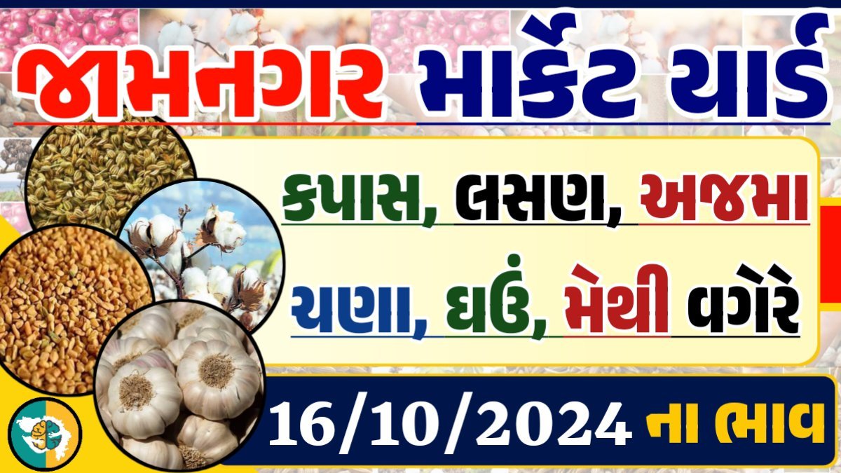 Jamnagar Apmc Rate 16-10-2024 આજના જામનગર ના બજાર ભાવ Gkmarugujarat.com