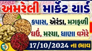 Amreli Apmc Rate 17-10-2024 આજના અમરેલી માર્કેટ બજાર ભાવ Gkmarugujarat.com