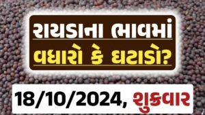 Rayda Price 18-10-2024 આજના રાયડા ના બજાર ભાવ gkmarugujarat.com